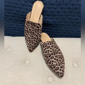 Cheetah Mules